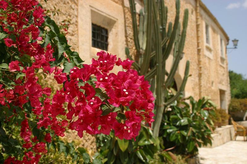 Agroturismo Can Guillo Vila Pollença Exterior foto